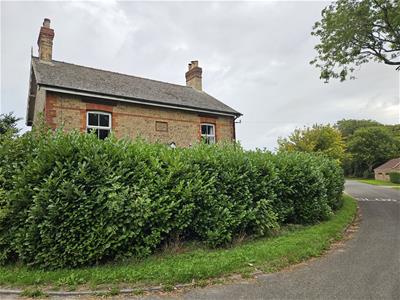 Picture 21